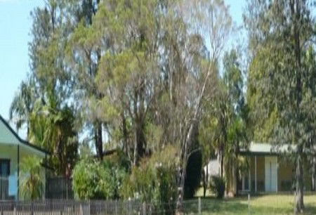 Nimbin NSW Accommodation in Brisbane