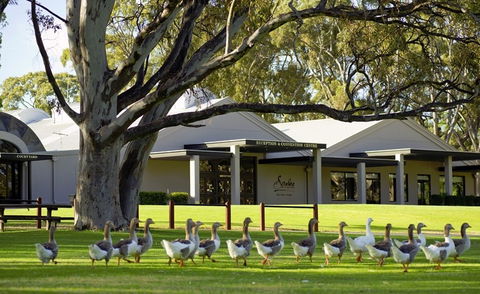 Serafino McLaren Vale - Accommodation in Brisbane 0