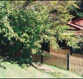 Apple Tree Cottage - Accommodation in Brisbane