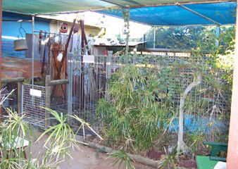 Safari Lodge Motel - Accommodation in Brisbane 1