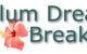 Coolum Dreams Bed & Breakfast - thumb 0