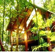 The Canopy Treehouses - Accommodation in Brisbane