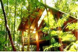 The Canopy Treehouses - Accommodation in Brisbane 0