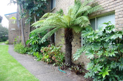 Beachfront Units Merimbula - Accommodation in Brisbane 3