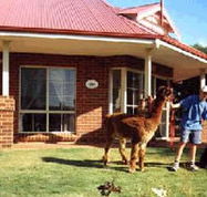 Brilea Cottages - Accommodation in Brisbane