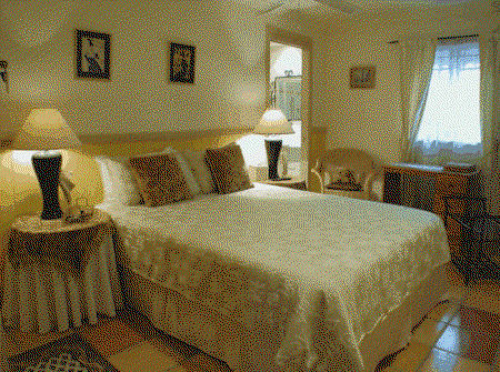 Fern Cottage Bed And Breakfast - Accommodation in Brisbane 0