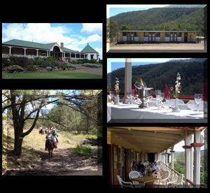 Bestbrook Mountain Resort - Accommodation in Brisbane 1