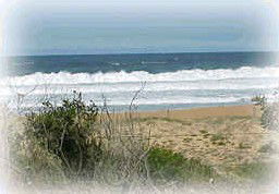 Hardys Bay NSW Accommodation in Brisbane