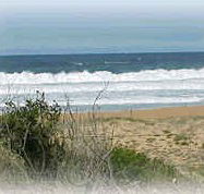 Mcgregors By The Bay - Accommodation in Brisbane