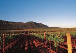 Peppers Guest House Hunter Valley - Accommodation in Brisbane 2