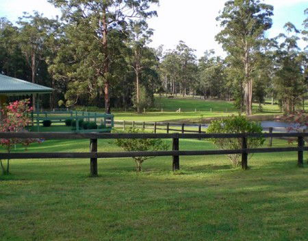 Neds Bed Horse O Tel - Accommodation in Brisbane 2