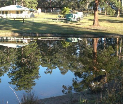 Neds Bed Horse O Tel - Accommodation in Brisbane 4