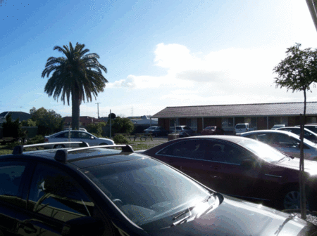 Golden Palms Motel - Accommodation in Brisbane 3