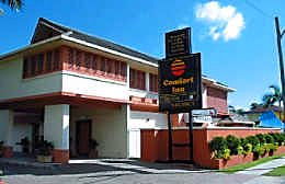 Comfort Inn The Rose - Accommodation in Brisbane 1
