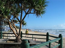 Burlington Holiday Apartments - Accommodation in Brisbane 5