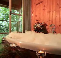 Tree Houses Of Montville - Accommodation in Brisbane