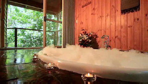 Tree Houses Of Montville - Accommodation in Brisbane 0