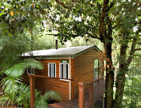 Tree Houses Of Montville - Accommodation in Brisbane 2