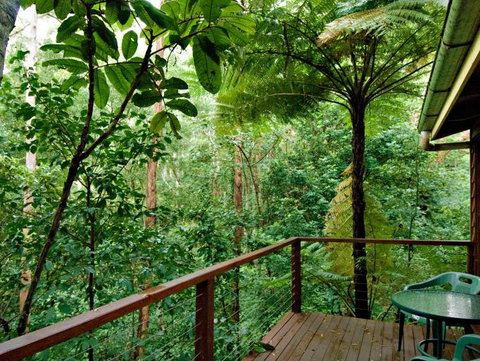Tree Houses Of Montville - Accommodation in Brisbane 3