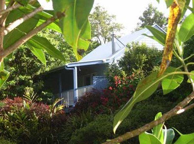 Clouds Of Montville Mountain Resort Motel - Accommodation in Brisbane 3