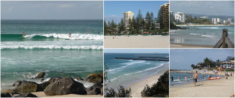 Blue Pelican Motor Inn - Accommodation in Brisbane 3