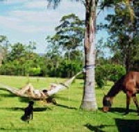 Neds Bed Horse O Tel - Accommodation in Brisbane