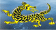 Dragon Phoenix Motel & Restuarant - Accommodation in Brisbane 1
