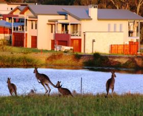 Grand Mercure The Vintage Hunter Valley - Accommodation in Brisbane 0