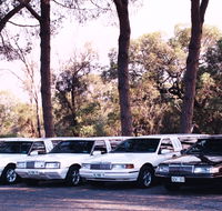 Hollywood VIP Limousines - Accommodation in Brisbane