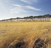 Port Wakefield Motel - Accommodation in Brisbane