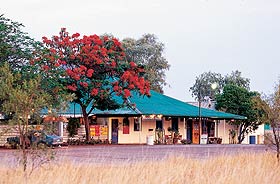 Wauchope Hotel And Roadhouse - Accommodation in Brisbane 0