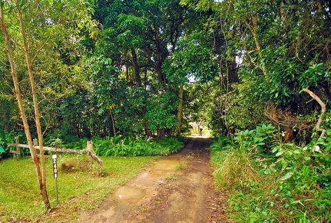 Wompoo Cottage - Accommodation in Brisbane 0