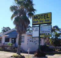Blackboy Tree Motel - Accommodation in Brisbane