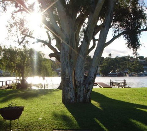 Eleven From The Left - Accommodation in Brisbane 1