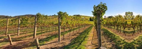 DeVine Escape - Accommodation in Brisbane 0