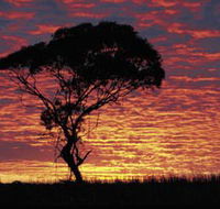 Kimba Caravan Park amp Motel - Accommodation in Brisbane