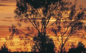  Accommodation in Brisbane