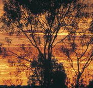 Tilmouth Well - Accommodation in Brisbane