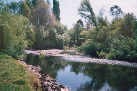 Boutique Motel Sefton House - Accommodation in Brisbane 7