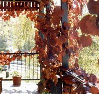 The Vines Motel amp Cottages - Accommodation in Brisbane