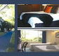 The Albany - Accommodation in Brisbane