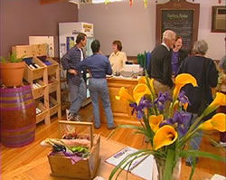 Tourist Parks Cairns QLD Accommodation in Brisbane