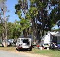Elliston Caravan Park - Accommodation in Brisbane