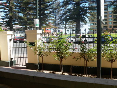 Grandview House Apartments - Accommodation in Brisbane 5
