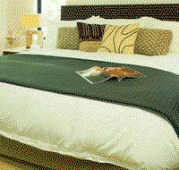 Sea Temple Resort  Spa - Accommodation in Brisbane