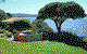 Eagle Heights Holiday Units - thumb 3