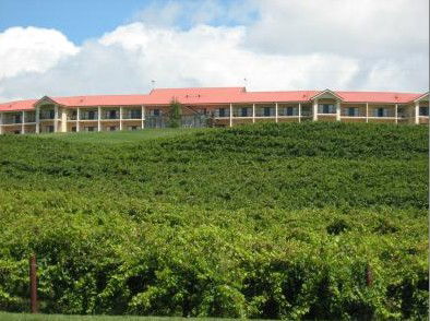 Turners Vineyard - Accommodation in Brisbane 4