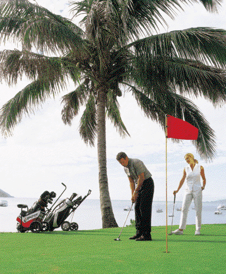 Adventure Island Whitsundays (south Molle Island) - Accommodation in Brisbane 2