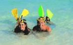 Adventure Island Whitsundays (south Molle Island) - Accommodation in Brisbane 5