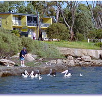 Almonta Holiday Apartments - Accommodation in Brisbane